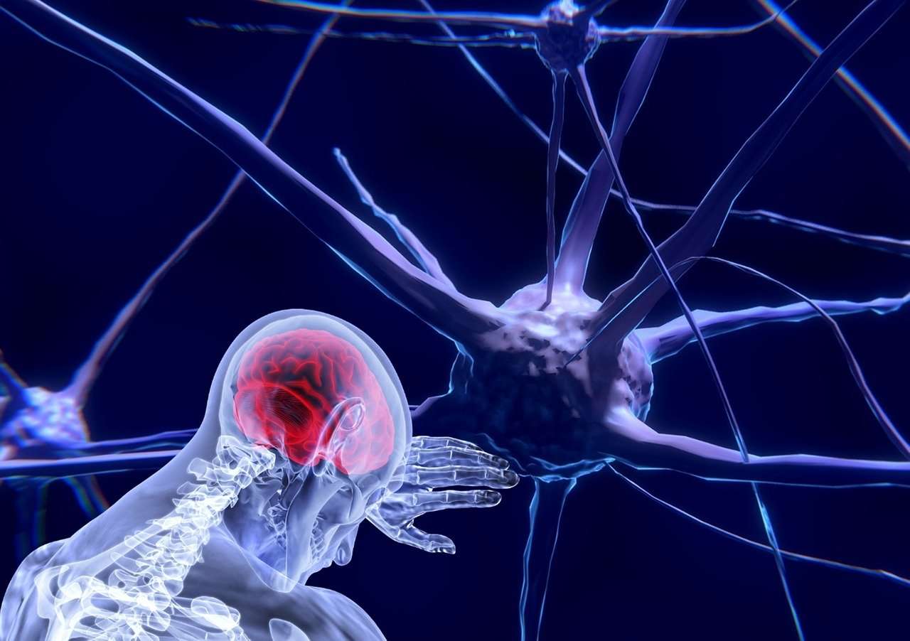 neuroscience