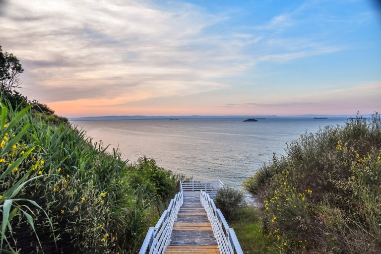 Martori bord galbeni semnificatie si cand sa te ingrijorezi