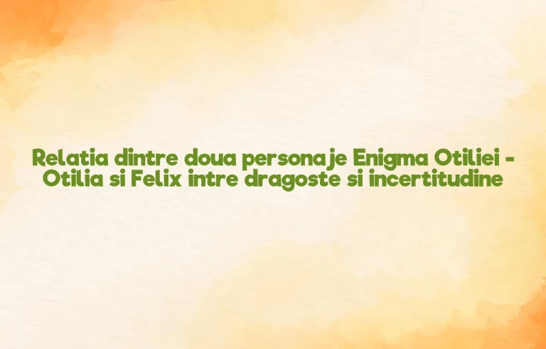 relatia dintre doua personaje enigma otiliei