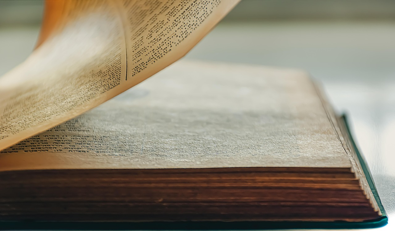 caracterizare stefan tipatescu